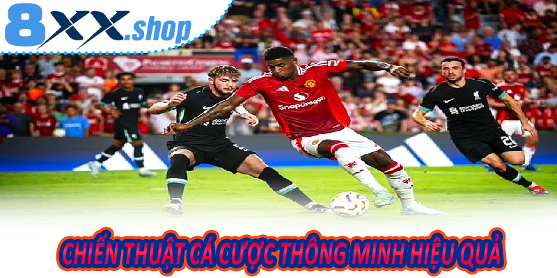Chiến Thuật Cá Cược Thông Minh Hiệu Quả Không Thể Bỏ Qua