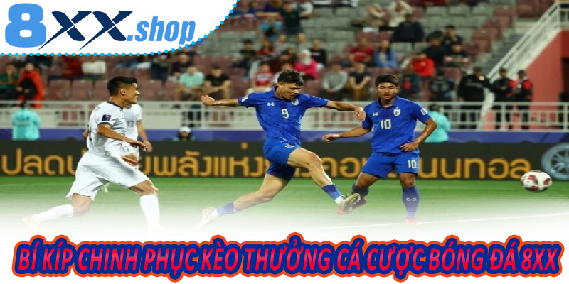 Bí Kíp Chinh Phục Kèo Thưởng Cá Cược Bóng Đá 8XX Căng Thẳng Mỗi Phút